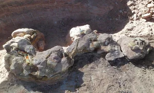 Unveiling Yeneen houssayi: The Massive 10-Ton Prehistoric Titanosaur Discovery That Rewrites Ancient History-5