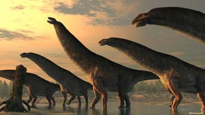 Unveiling Yeneen houssayi: The Massive 10-Ton Prehistoric Titanosaur Discovery That Rewrites Ancient History-0