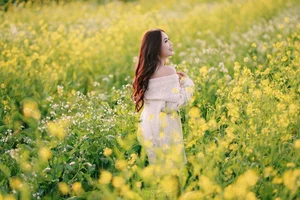 Moc Chau Yellow Mustard Season: A Muse in the Early Winter Highlands-1