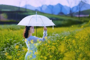 Moc Chau Yellow Mustard Season: A Muse in the Early Winter Highlands-6