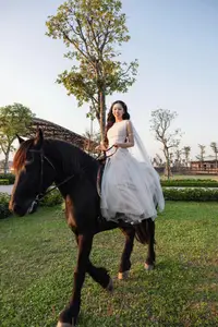Elegant Beauty: Graceful Girl with a Majestic Black Horse-10