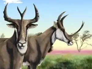Unbelievable! Synthetoceras: The Hoofed Animal with the Strangest Horns Ever Existed-2