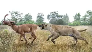 Unbelievable! Synthetoceras: The Hoofed Animal with the Strangest Horns Ever Existed-5