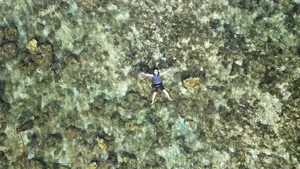 Escape to Bai Thung: The Ultimate Off-Grid '4-No' Wild Camping Paradise Along Vietnam's Stunning Vinh Hy Coastal Road-5