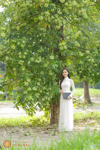 XVG No.14: Vietnamese Beauty, Graceful Girl in White Ao Dai Under Blossoming Trees, Evoking Timeless Elegance.-1