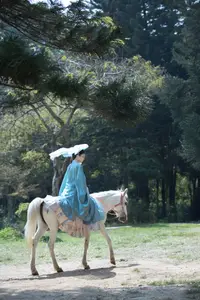 Zhi Zhi Qi: Enchanting Traditional Beauty on Horseback – YiTuYu Vol.8831 Forest Dream-0