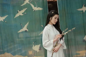 Timeless Elegance: The Traditional Vietnamese White Ao Dai Dress and Cultural Heritage Photography-6