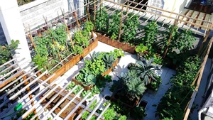 Transform Your Rooftop Into A Green Sanctuary: Modern Urban Oasis Inspiration For Slow Living-18