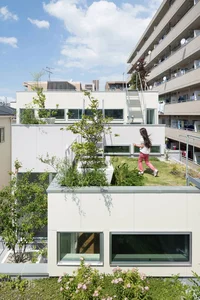 Transform Your Rooftop Into A Green Sanctuary: Modern Urban Oasis Inspiration For Slow Living-13