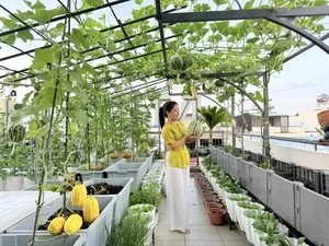 Transform Your Rooftop Into A Green Sanctuary: Modern Urban Oasis Inspiration For Slow Living-8