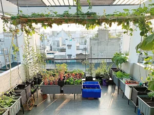 Transform Your Rooftop Into A Green Sanctuary: Modern Urban Oasis Inspiration For Slow Living-2