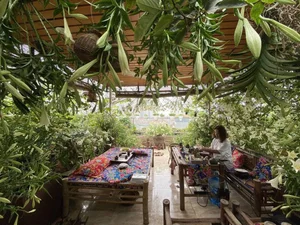 Transform Your Rooftop Into A Green Sanctuary: Modern Urban Oasis Inspiration For Slow Living-0