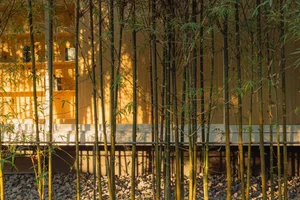 Modern Minimalist Glass and Wood Forest Retreat: A Serene One-Story Sanctuary for Slow Living and Nature Immersion-5