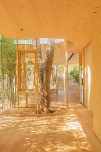 Modern Minimalist Glass and Wood Forest Retreat: A Serene One-Story Sanctuary for Slow Living and Nature Immersion-30