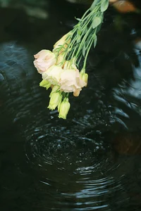 The Art of Summer: Long Xing Er’s Ethereal Portrait Series-25