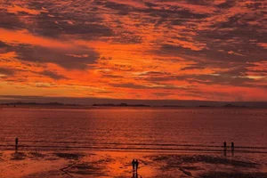 Moving to South Korea: A Complete Expat Guide to Living, Housing, and Cultural Integration in Seoul-1