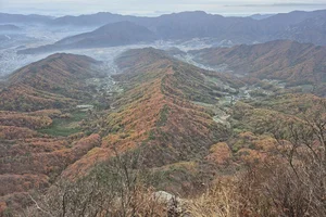 Moving to South Korea: A Complete Expat Guide to Living, Housing, and Cultural Integration in Seoul-2