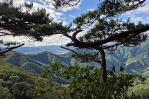 Moving to South Korea: A Complete Expat Guide to Living, Housing, and Cultural Integration in Seoul-8