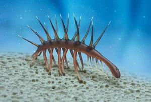 Bizarre Wonders of the Cambrian Explosion: Exploring the Alien-Like Ancient Marine Creatures That Redefined Evolutionary History-7