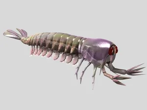 Bizarre Wonders of the Cambrian Explosion: Exploring the Alien-Like Ancient Marine Creatures That Redefined Evolutionary History-3