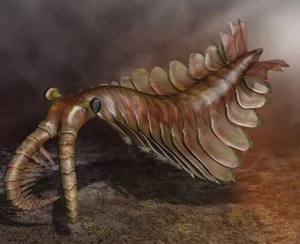 Bizarre Wonders of the Cambrian Explosion: Exploring the Alien-Like Ancient Marine Creatures That Redefined Evolutionary History-0