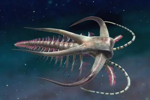 Bizarre Wonders of the Cambrian Explosion: Exploring the Alien-Like Ancient Marine Creatures That Redefined Evolutionary History-4