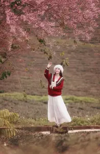 Lost in a Pink Paradise: Moc Chau's Enchanting Cherry Blossom Road Awaits-9