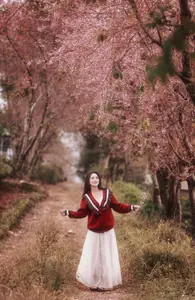 Lost in a Pink Paradise: Moc Chau's Enchanting Cherry Blossom Road Awaits-0