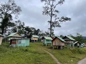 Discover Mang Den: Vietnam’s Enchanting Spring Destination with Blooming Cherry Blossoms and Rich Ethnic Traditions for Your Next Adventure-9