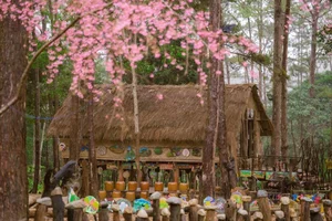 Discover Mang Den: Vietnam’s Enchanting Spring Destination with Blooming Cherry Blossoms and Rich Ethnic Traditions for Your Next Adventure-8
