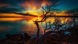 Explore 100+ stunning Full HD nature and landscape wallpapers for desktop-94