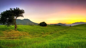 Explore 100+ stunning Full HD nature and landscape wallpapers for desktop-66