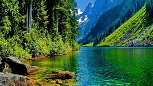 Explore 100+ stunning Full HD nature and landscape wallpapers for desktop-103