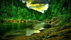 Explore 100+ stunning Full HD nature and landscape wallpapers for desktop-42