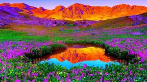 Explore 100+ stunning Full HD nature and landscape wallpapers for desktop-44