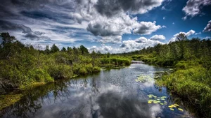 Explore 100+ stunning Full HD nature and landscape wallpapers for desktop-89