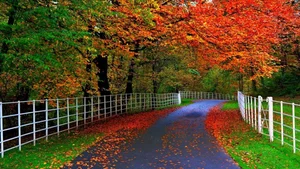 Explore 100+ stunning Full HD nature and landscape wallpapers for desktop-65