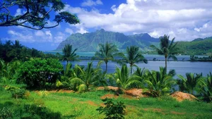 Explore 100+ stunning Full HD nature and landscape wallpapers for desktop-15