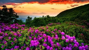 Explore 100+ stunning Full HD nature and landscape wallpapers for desktop-13