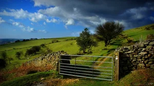 Explore 100+ stunning Full HD nature and landscape wallpapers for desktop-22