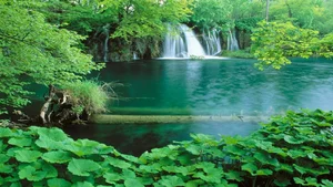 Explore 100+ stunning Full HD nature and landscape wallpapers for desktop-58