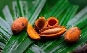 Health Benefits of Purple Palm Fruit: A Nutrient-Rich Superfood Packed with Vitamins A and E for Radiant Skin and Eye Health-6