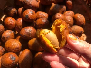 Health Benefits of Purple Palm Fruit: A Nutrient-Rich Superfood Packed with Vitamins A and E for Radiant Skin and Eye Health-3