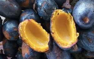 Health Benefits of Purple Palm Fruit: A Nutrient-Rich Superfood Packed with Vitamins A and E for Radiant Skin and Eye Health-4