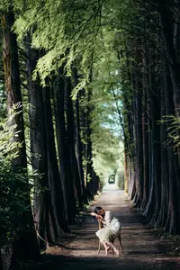 Qing Qing's Ethereal Dance in Enchanted Forest | YiTuYu Art Language Vol.8786-19