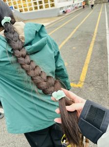 Gentle Beautiful Girl: Alluring Black Braided Ponytail Hairstyle - Elegant Look-10