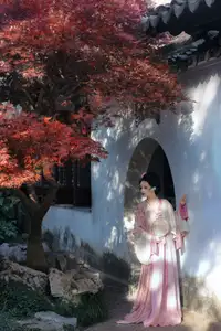 Mao Mao Mao A Yi Vol.8669: Elegant Traditional Beauty, YiTuYu Art-19