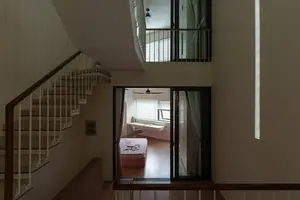 Light-Filled Tube House: Discover Unique Arched Facade & Green Urban Living-10