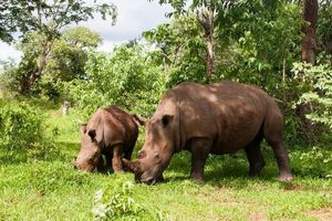 Victoria Falls Africa's Smoke that Thunders UNESCO World Heritage-2