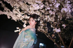 Ethereal Night Cherry Blossoms Photography: Art Language Vol.9125 Featuring Fei Fei in a Stunning Sakura Nightscape-2